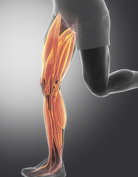 découvrez les principales causes des blessures musculaires, leurs symptômes et comment prévenir ces désagréments. informez-vous pour mieux comprendre l'impact de l'effort physique sur vos muscles.