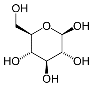 découvrez les différences entre les glucides simples et complexes : apprenez à les identifier, à comprendre leur impact sur la santé et à choisir ceux qui conviennent le mieux à votre alimentation.