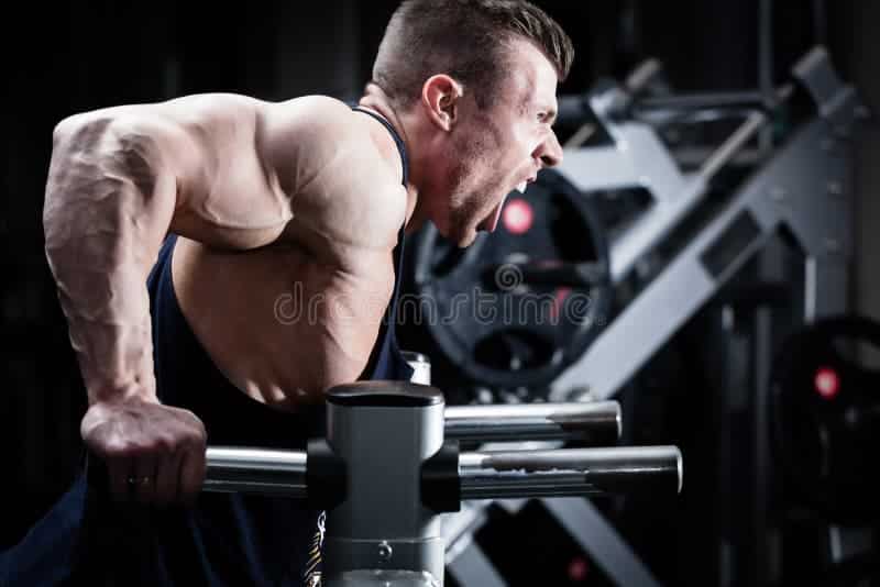 découvrez des conseils pratiques pour un entraînement quotidien efficace et un développement musculaire optimal. transformez votre routine sportive et atteignez vos objectifs de fitness grâce à des techniques adaptées et un suivi personnalisé.