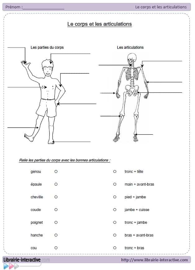 découvrez notre guide complet sur l'évaluation corporelle, une approche essentielle pour comprendre votre composition physique, optimiser votre santé et atteindre vos objectifs de bien-être. apprenez à analyser votre corps de manière professionnelle et à mettre en place des stratégies personnalisées pour améliorer votre condition physique.