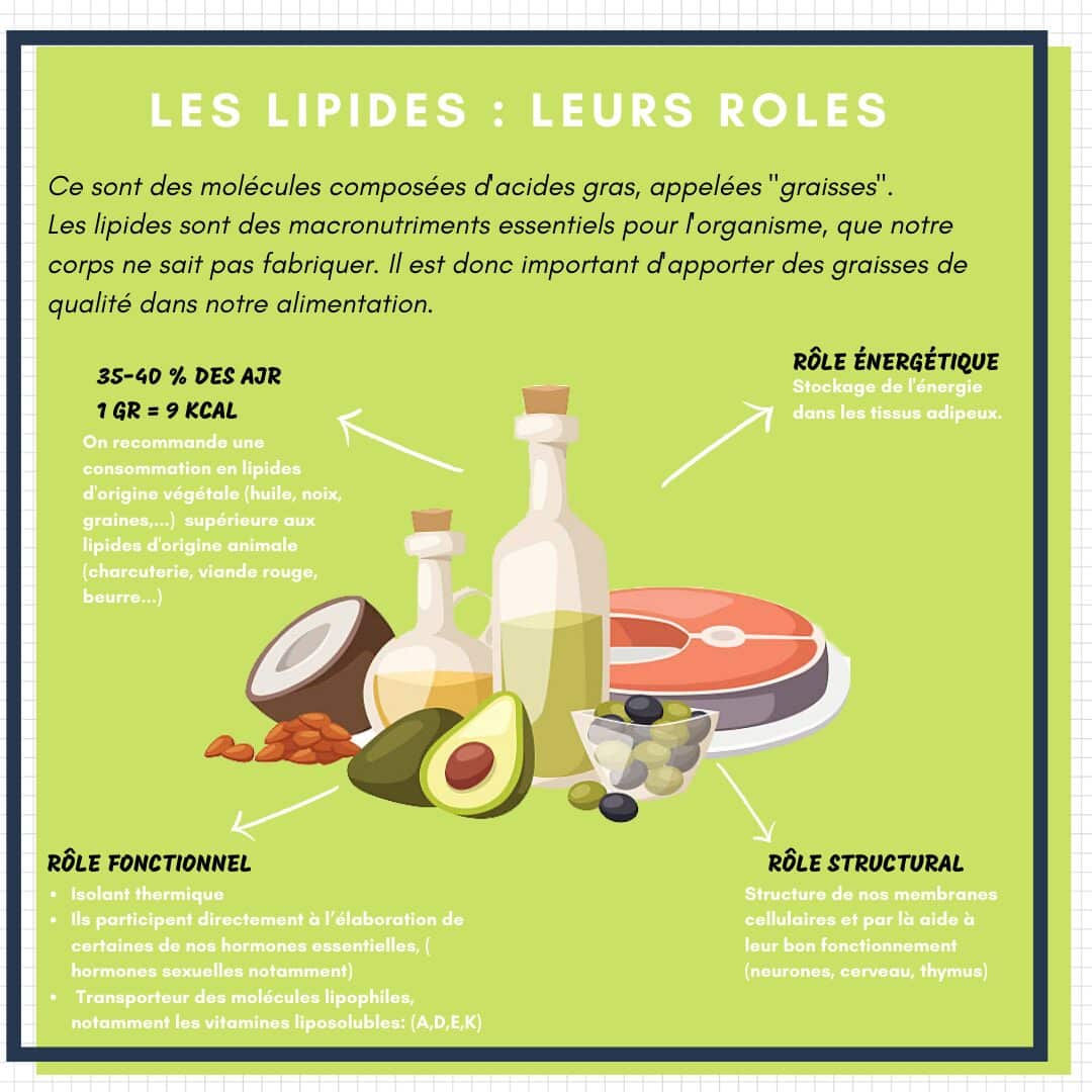 découvrez les fonctions essentielles des lipides dans l'organisme, notamment leur rôle dans le stockage d'énergie, la protection des organes et la régulation des membranes cellulaires. apprenez comment ces molécules influencent la santé et le métabolisme.