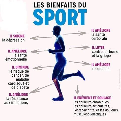 Descubre cómo el culturismo influye en la salud física y mental. Explora los beneficios de esta práctica sobre la fuerza, la resistencia, la confianza en uno mismo y el bienestar general. Transforma tu cuerpo y tu mente con un enfoque equilibrado del fitness.