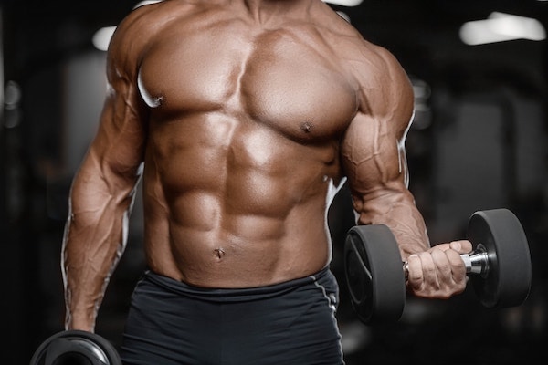 découvrez comment les protéines jouent un rôle essentiel dans le développement musculaire. apprenez les meilleures sources de protéines, les quantités recommandées et les astuces pour maximiser vos gains musculaires. transformez votre routine d'entraînement et atteignez vos objectifs de fitness grâce à une alimentation adaptée.