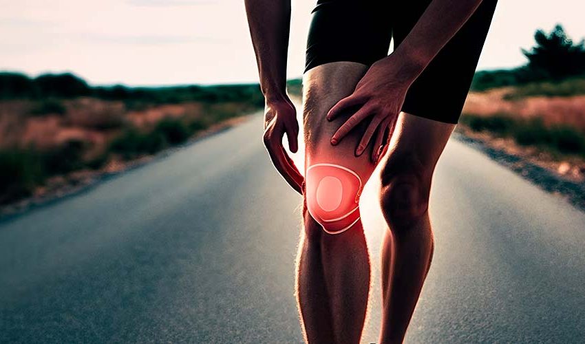 découvrez nos conseils essentiels pour prévenir les blessures en musculation. apprenez les techniques appropriées, l'importance de l'échauffement et de la récupération pour optimiser votre entraînement tout en protégeant votre corps.