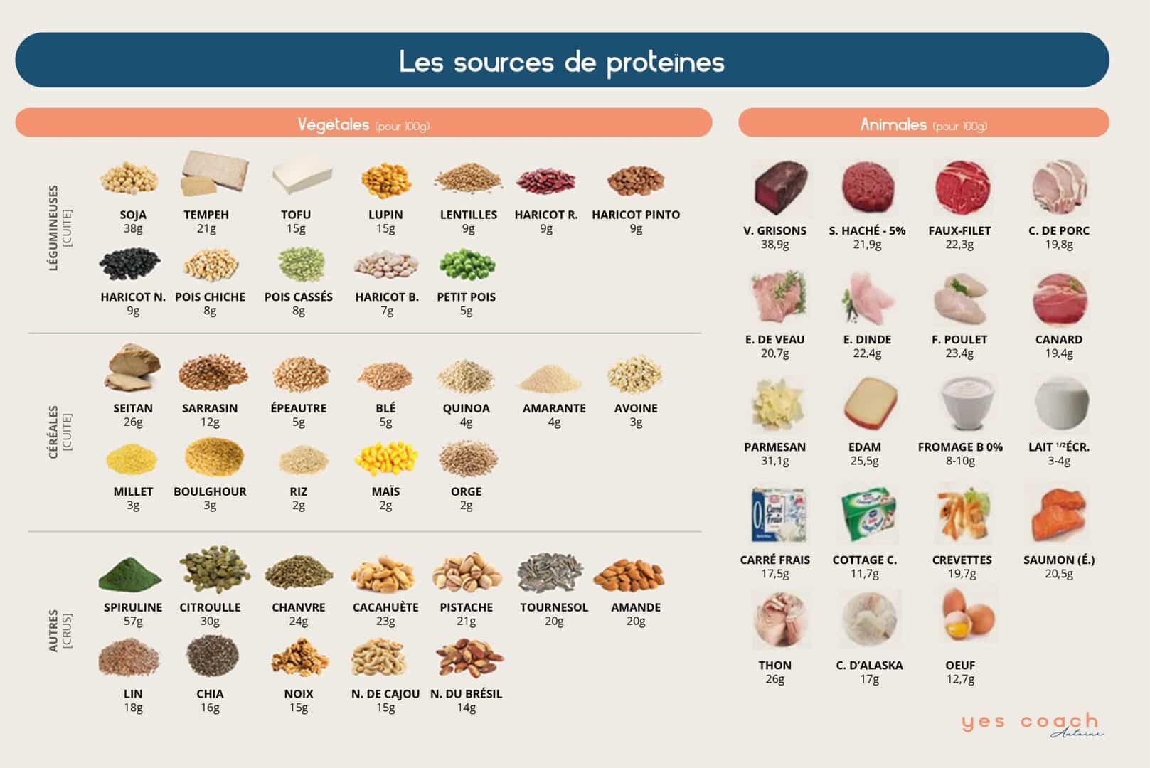 découvrez comment les protéines peuvent favoriser votre perte de poids efficacement. explorez les bienfaits des protéines dans votre alimentation et apprenez à les intégrer pour atteindre vos objectifs de remise en forme.