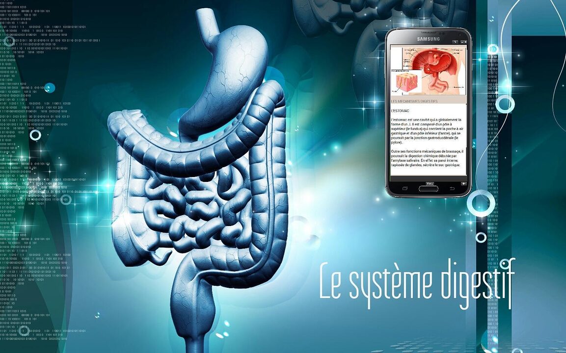 découvrez notre guide complet sur l'évaluation corporelle : comprenez l'importance de mesurer votre composition corporelle, suivez vos progrès et optimisez votre santé grâce à des outils et conseils adaptés à vos objectifs.
