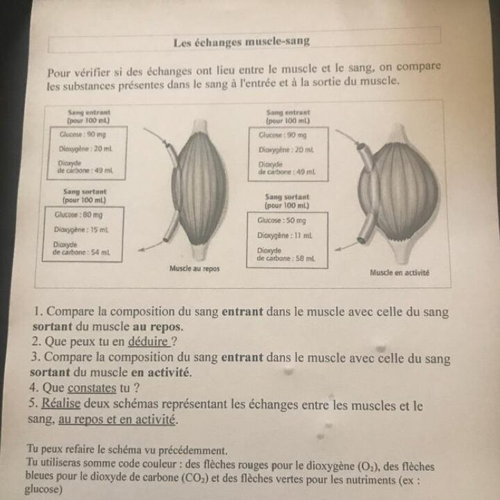 découvrez l'importance du repos essentiel pour le développement musculaire. apprenez comment une récupération adéquate favorise la croissance musculaire, améliore vos performances et optimise vos entraînements. ne sous-estimez pas le pouvoir du repos dans votre parcours fitness !