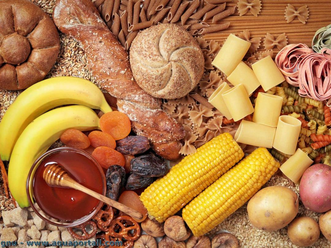 découvrez l'importance des glucides dans un équilibre alimentaire sain. apprenez à choisir les bonnes sources de glucides pour optimiser votre énergie et améliorer votre santé générale.