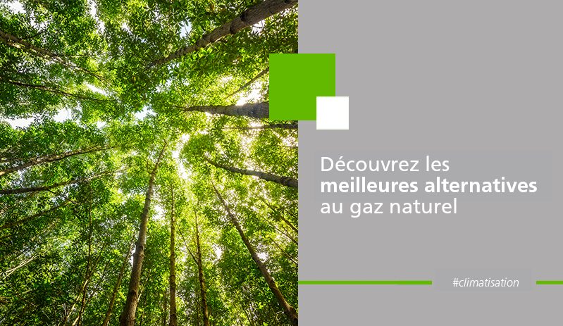 découvrez des alternatives naturelles efficaces pour améliorer votre bien-être au quotidien. explorez des solutions écologiques et saines qui répondent à vos besoins sans recourir à des produits chimiques.