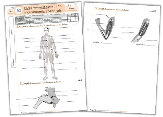 découvrez les indicateurs essentiels pour une évaluation corporelle précise et complète. apprenez à mesurer votre composition corporelle, à analyser votre silhouette et à améliorer votre santé tout en prenant en compte vos objectifs personnels.