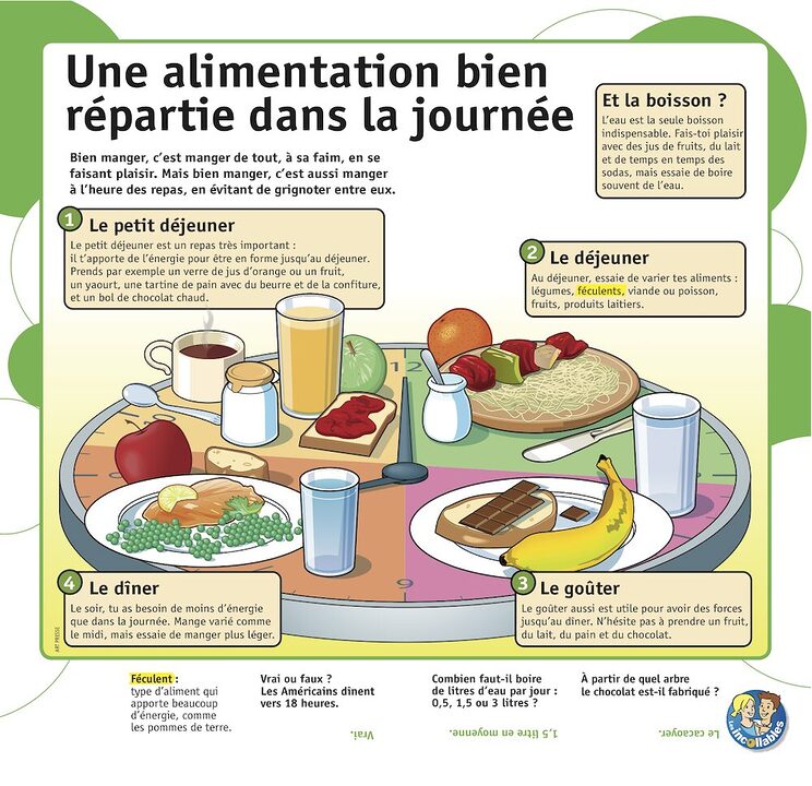 découvrez les clés d'un équilibre alimentaire sain et durable. apprenez à choisir des aliments variés, à équilibrer vos portions et à favoriser votre bien-être grâce à une nutrition adaptée.