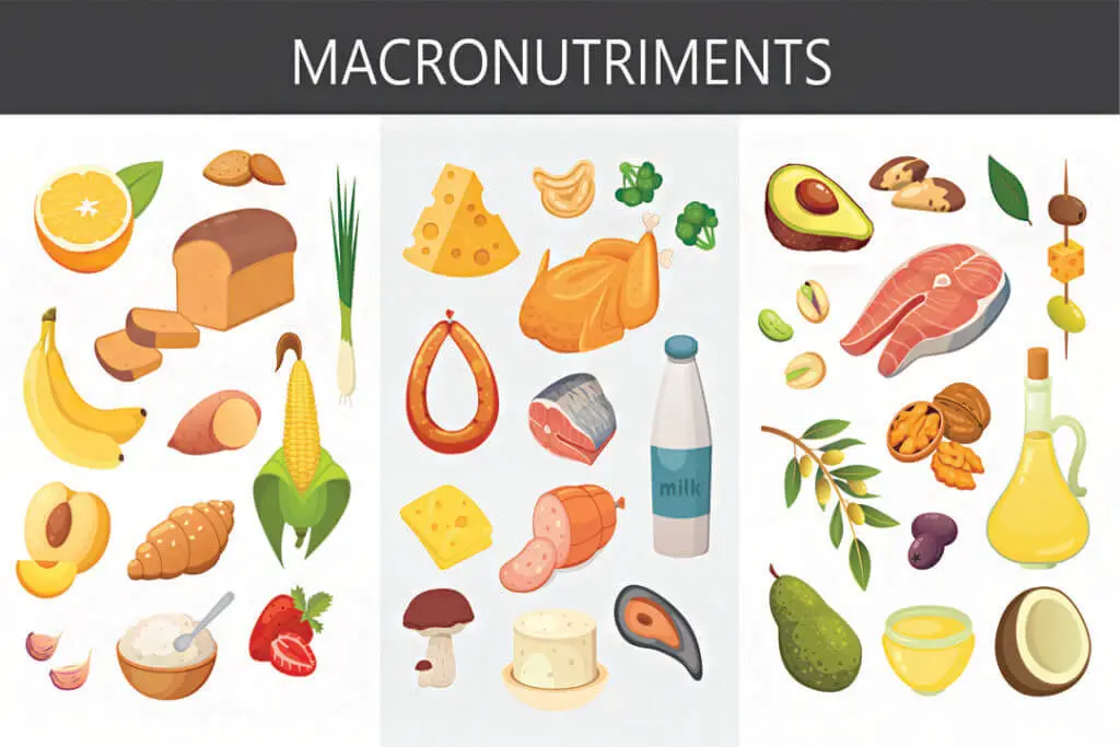 découvrez les différents types de macronutriments essentiels pour votre santé : glucides, protéines et lipides. apprenez leur rôle dans l'alimentation, leurs sources et comment les équilibrer pour un mode de vie sain.