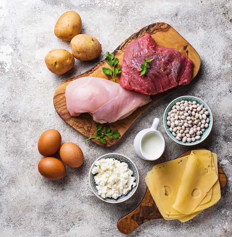 découvrez les meilleurs aliments riches en protéines pour booster votre énergie et soutenir votre masse musculaire. explorez des options variées et savoureuses, idéales pour tous les régimes, du végétarien au carnivore.