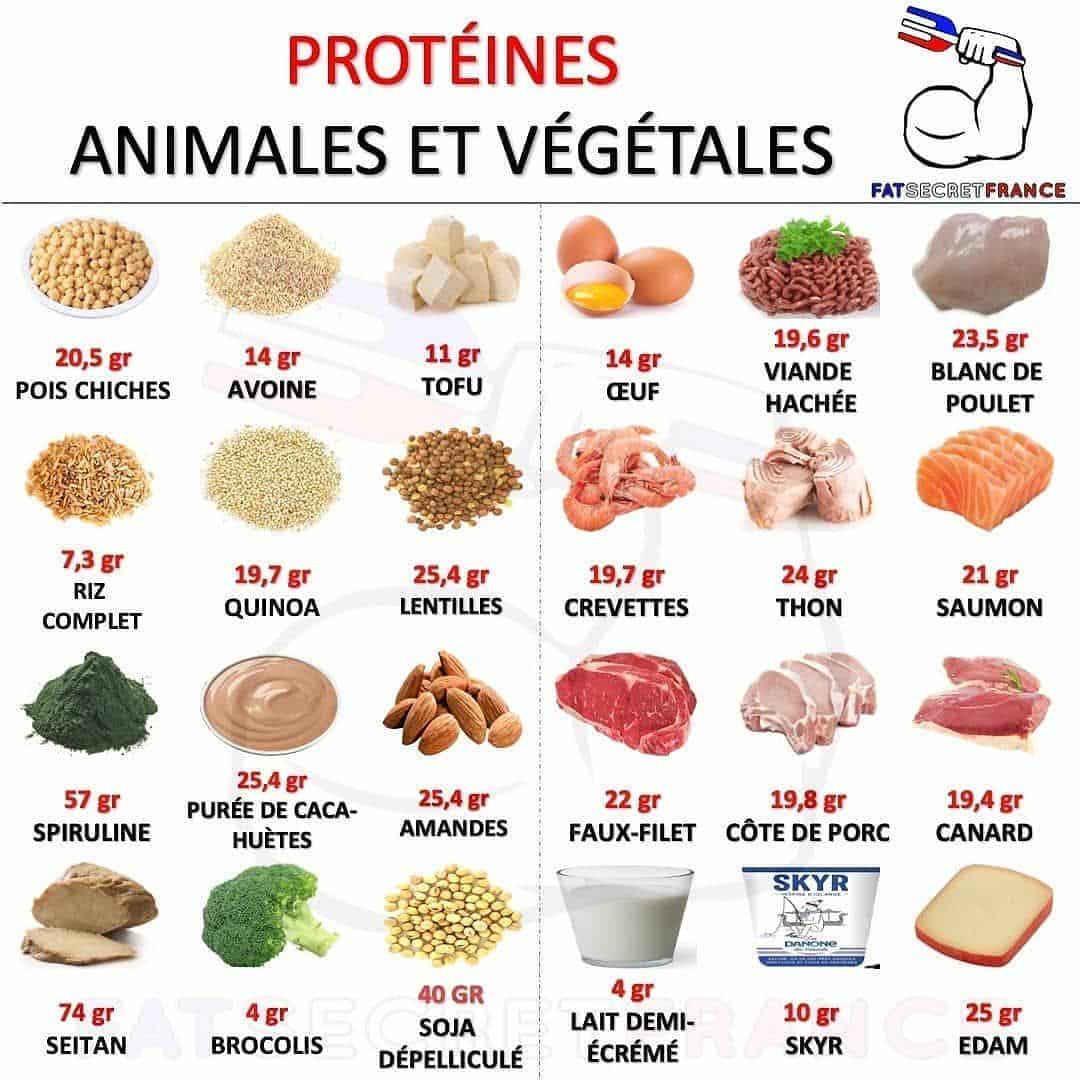 découvrez les différences entre les protéines végétales et animales : avantages, sources, et impact sur la santé. apprenez à choisir les meilleures options pour votre alimentation.