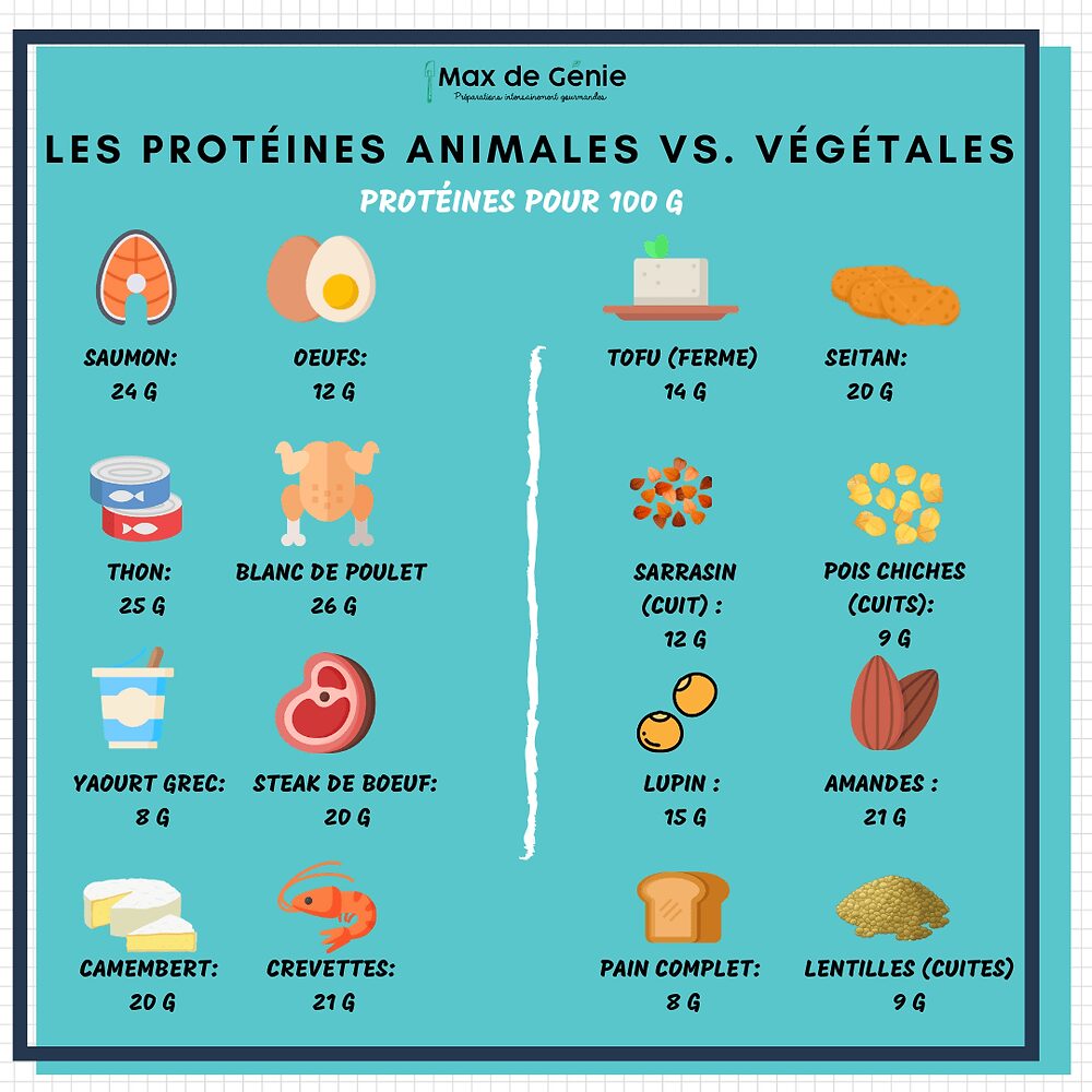 découvrez les principales différences entre les protéines végétales et animales : sources, valeurs nutritives, avantages pour la santé et impact environnemental. informez-vous pour choisir la meilleure option pour votre alimentation.