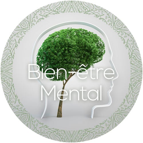 découvrez comment un entraînement physique régulier peut améliorer votre bien-être mental. apprenez des techniques pour renforcer votre santé mentale tout en atteignant vos objectifs de fitness.