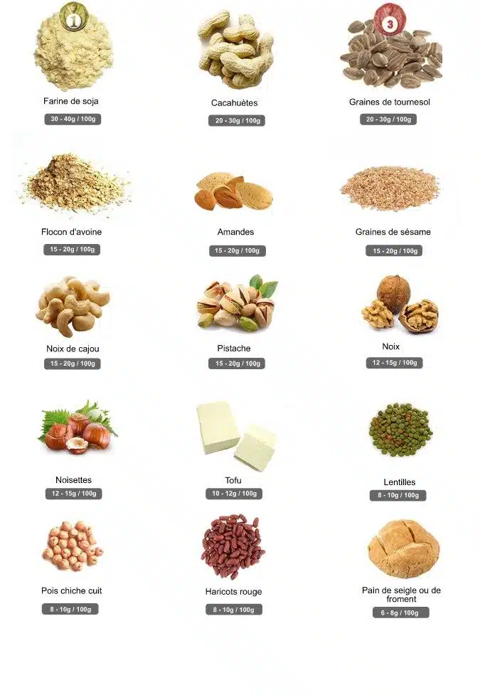 découvrez tout sur les légumes riches en glucides : leurs avantages nutritionnels, des conseils pour les intégrer dans votre alimentation saine et des recettes savoureuses pour profiter de leurs bienfaits. apprenez à choisir les bons légumes pour équilibrer vos repas tout en vous régalant.