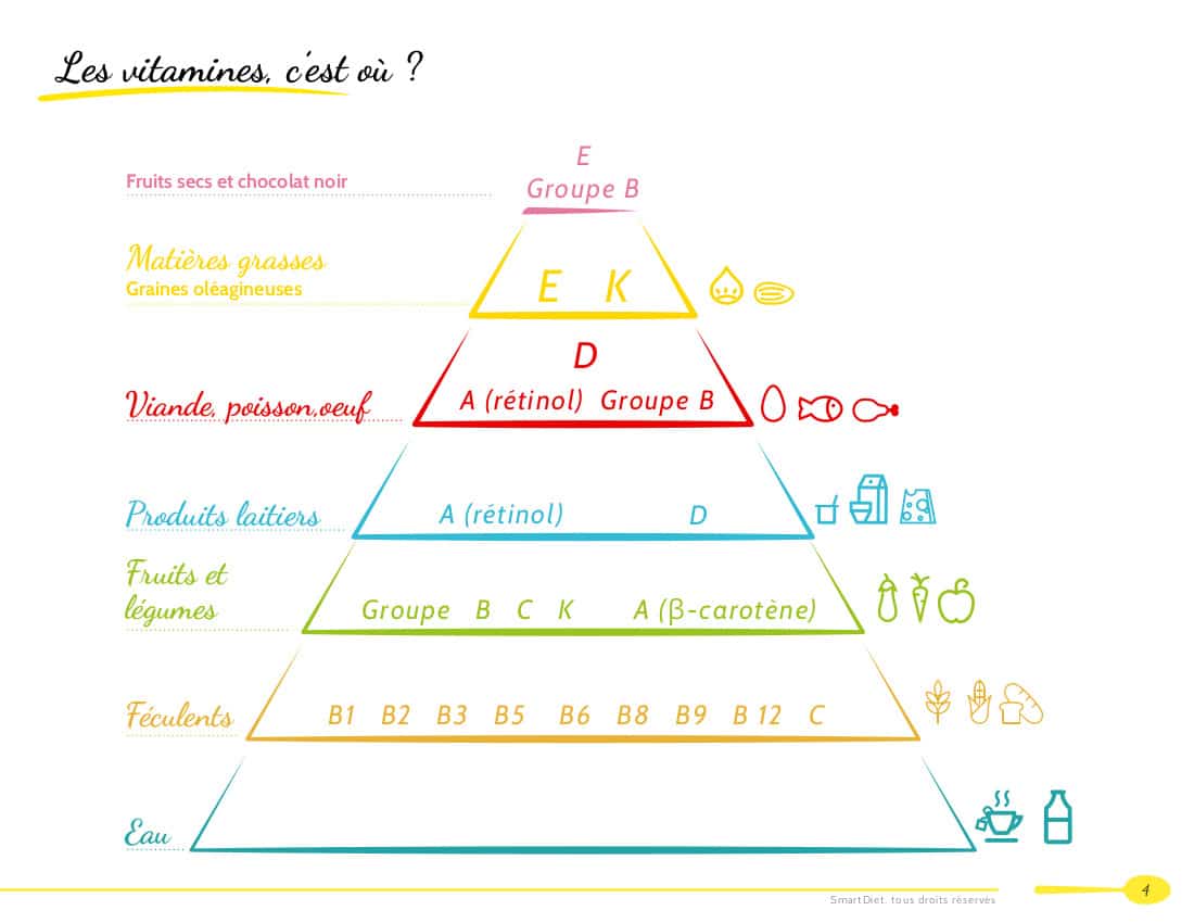 découvrez l'importance des lipides et des vitamines pour votre santé. apprenez comment ces nutriments essentiels jouent un rôle crucial dans votre alimentation, leur impact sur le métabolisme et les meilleures sources à intégrer dans votre régime quotidien.