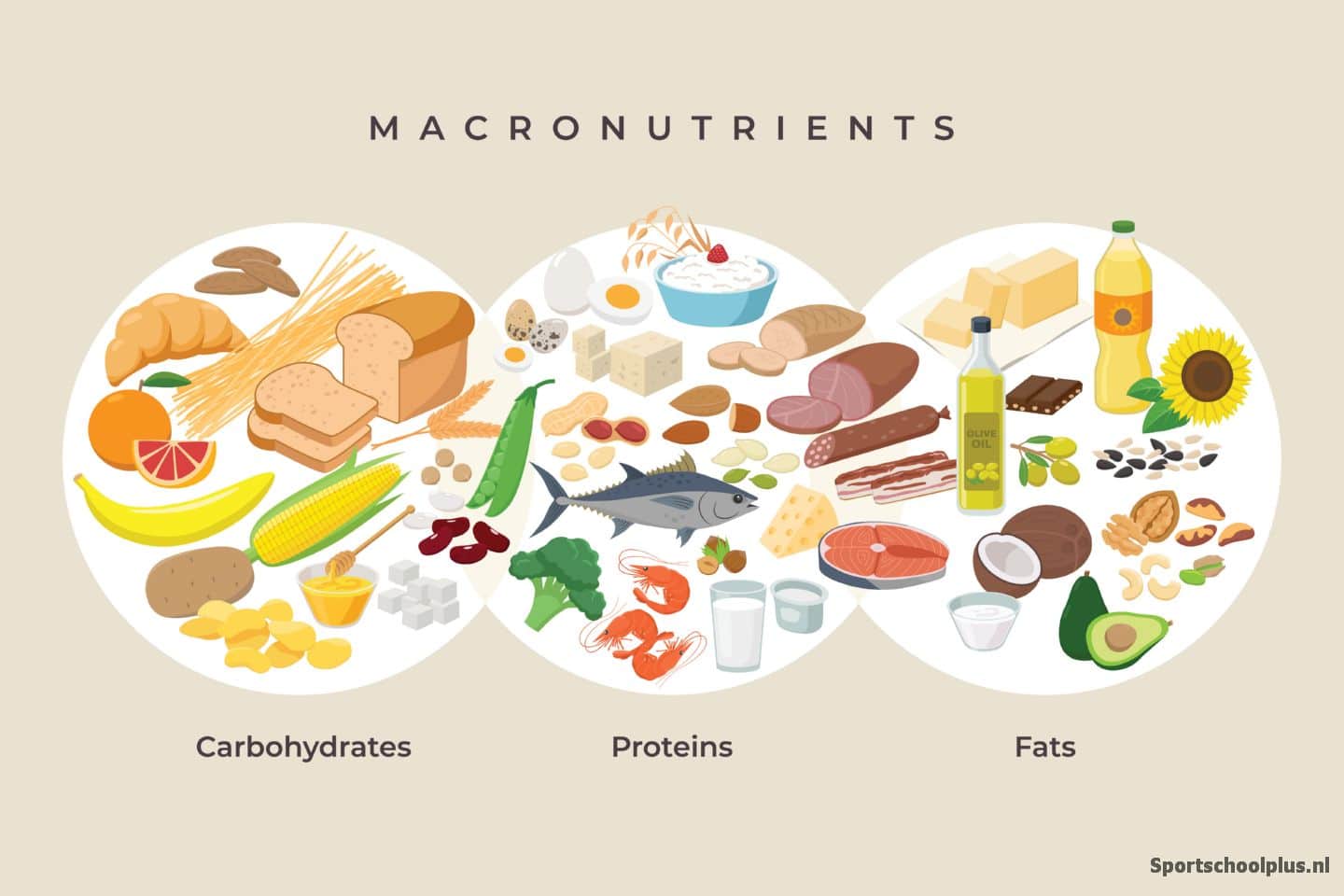 découvrez l'importance des lipides et des vitamines dans notre alimentation. apprenez comment ces nutriments essentiels contribuent à votre santé globale, leur rôle dans le métabolisme et les meilleures sources à privilégier pour un équilibre nutritionnel optimal.