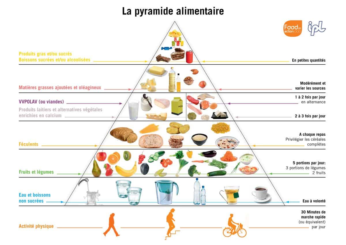 découvrez l'importance des proportions alimentaires pour une alimentation équilibrée. apprenez à ajuster vos portions pour répondre à vos besoins nutritionnels et améliorer votre santé au quotidien.