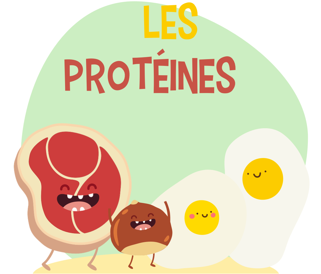 découvrez l'importance des protéines pour optimiser votre récupération après l'effort. apprenez comment les protéines aident à réparer les muscles, réduire la fatigue et améliorer vos performances sportives. idéal pour les athlètes et tous ceux cherchant à maximiser leur potentiel physique.