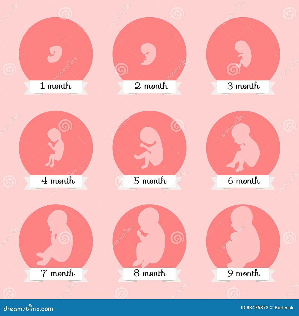 découvrez l'importance de la supplémentation durant la grossesse pour assurer un développement fœtal optimal. apprenez comment les nutriments essentiels peuvent influencer la santé de votre bébé et les bonnes pratiques à adopter pour une grossesse en pleine forme.